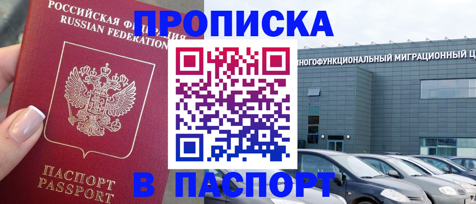 прописка для школы в Щёлково
